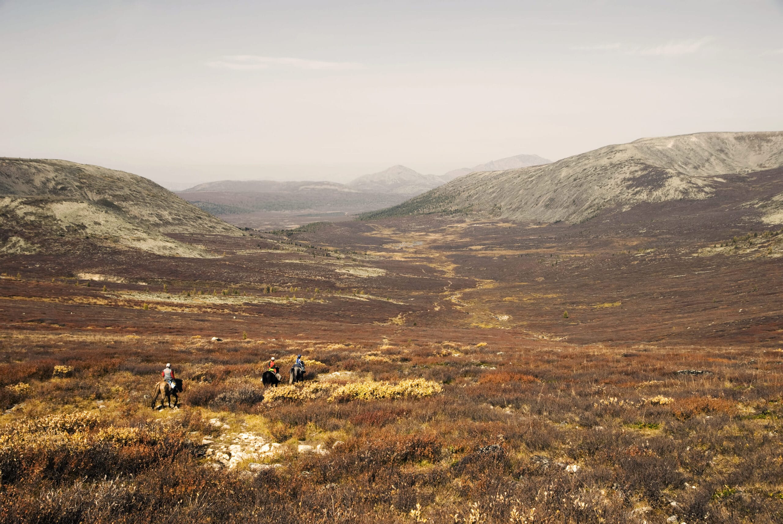 Prairie en terre tsaatans