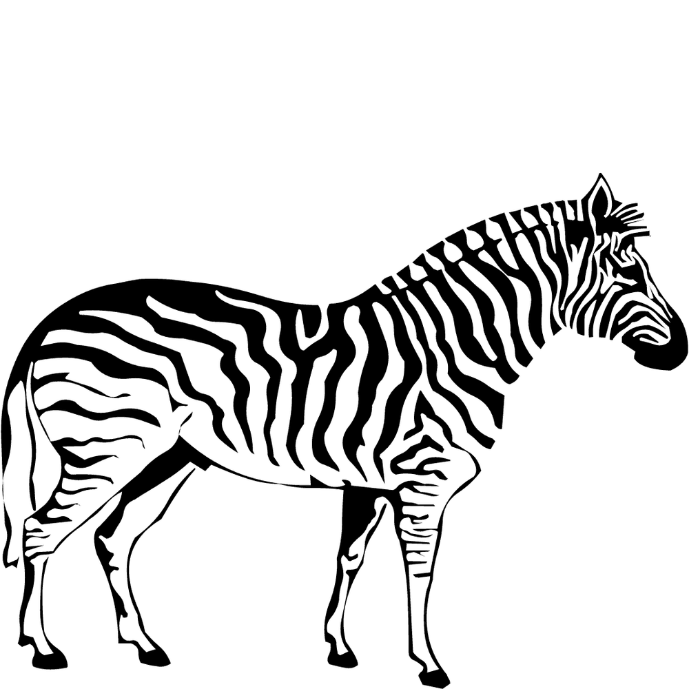graphique d'un zèbre