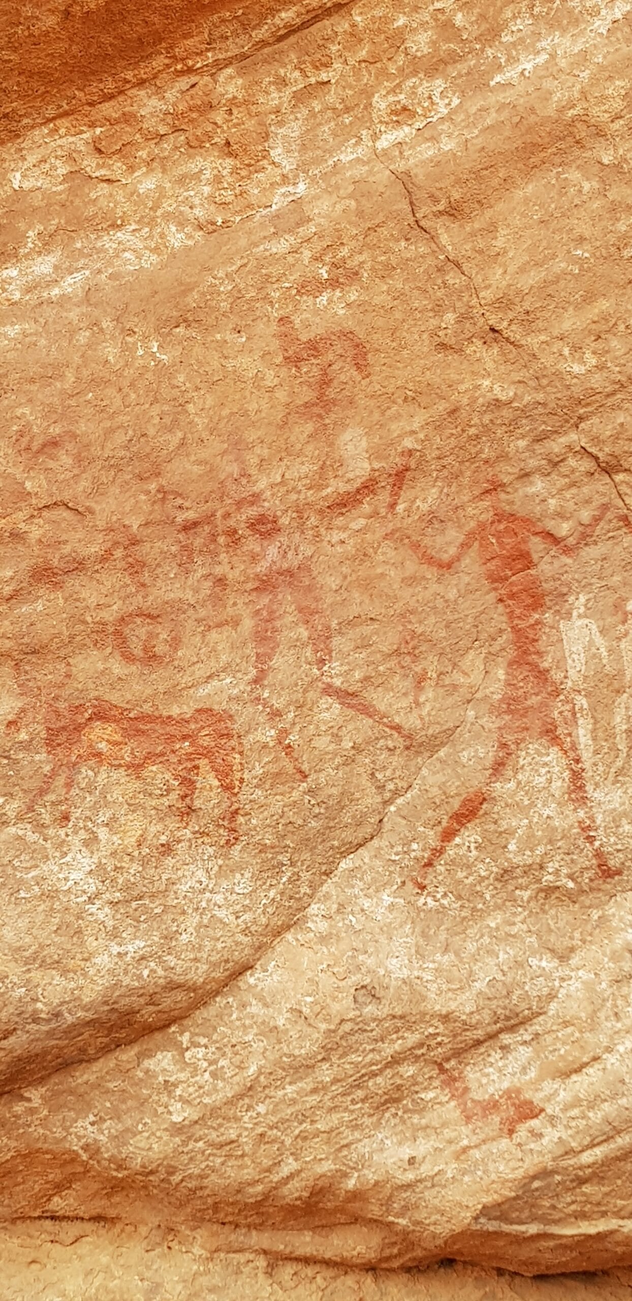 peintures rupestres djanet peintures rupestres djanet